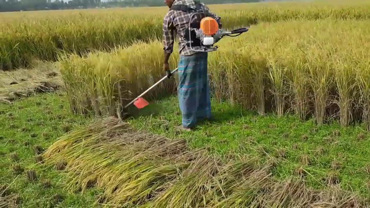 keuntungan merawat alat panen