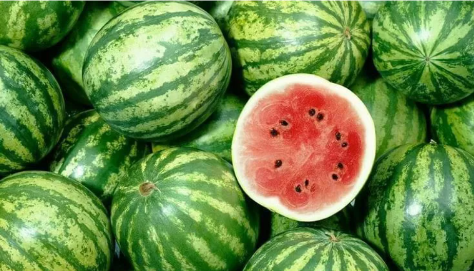 buah semangka segar