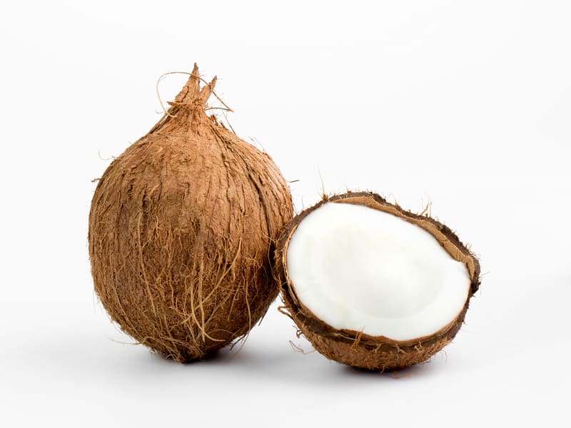 mengolah kelapa tua