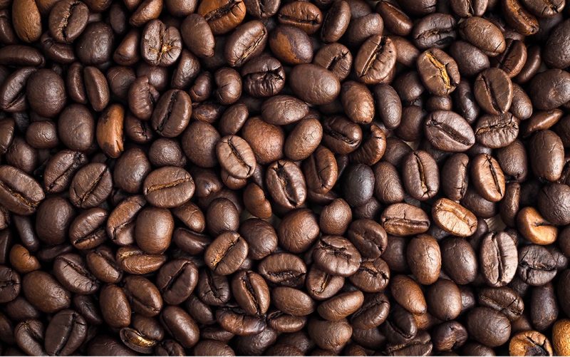 mesin sortasi biji kopi yang mudah dioperasikan
