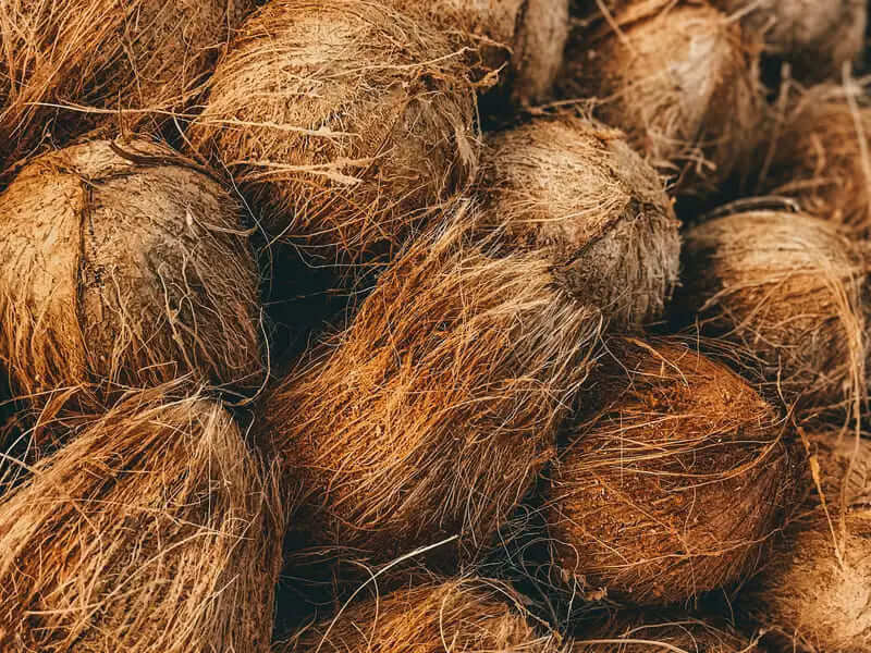 Sabut Kelapa sebagai Bahan Organik yang Bernilai Tinggi post thumbnail image