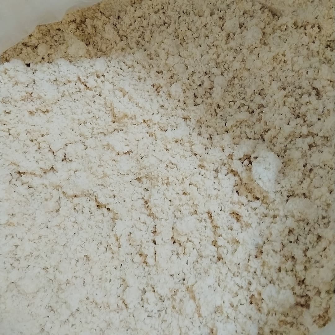 fermentasi ampas tahu