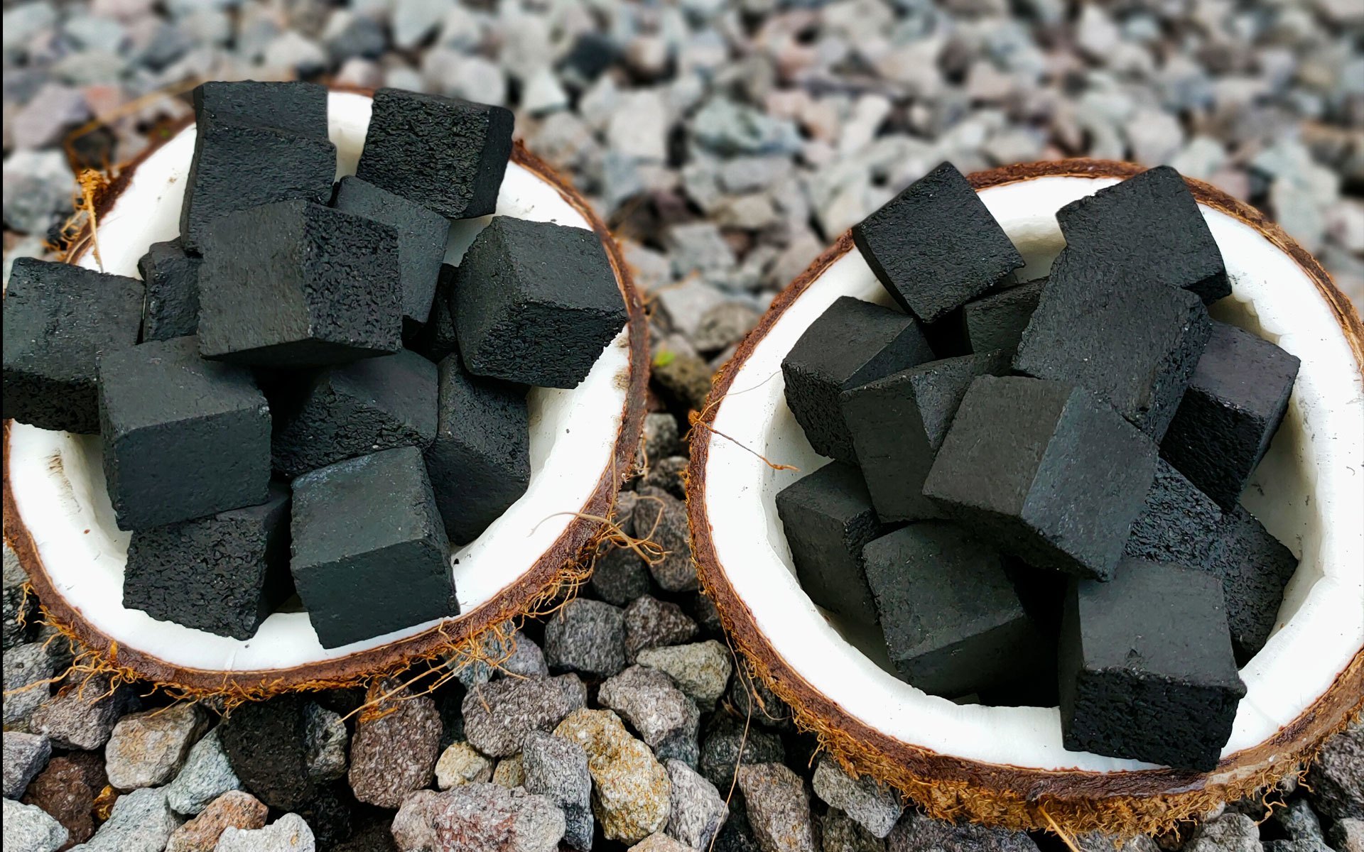 Cara Awal Bisnis Briket Batok Kelapa