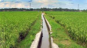 Materi Teknik Irigasi dan Drainase