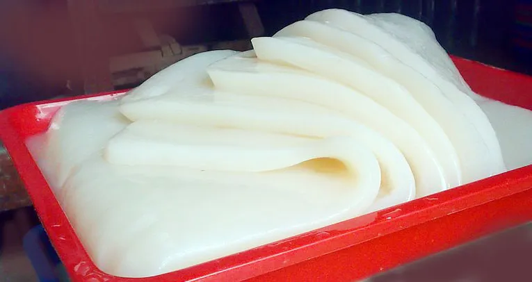 fermentasi nata de coco di rumah