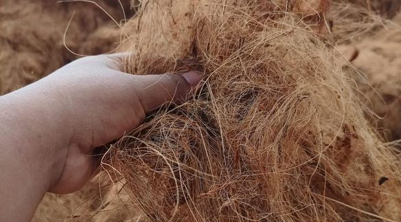 inovasi briket sabut kelapa rendah emisi karbon