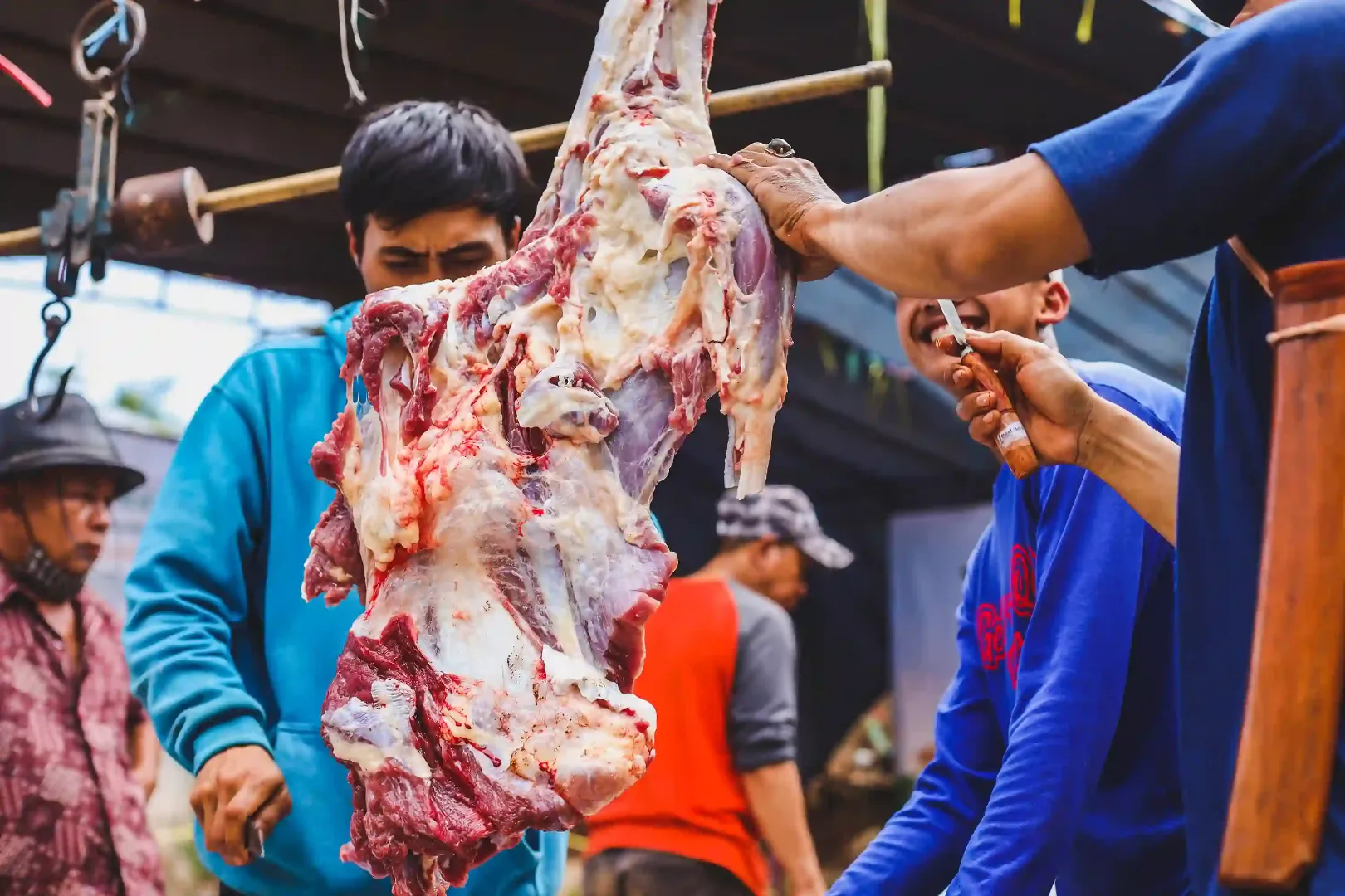cara mempercepat pembagian daging kurban