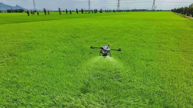 apakah drone sprayer bisa pupuk
