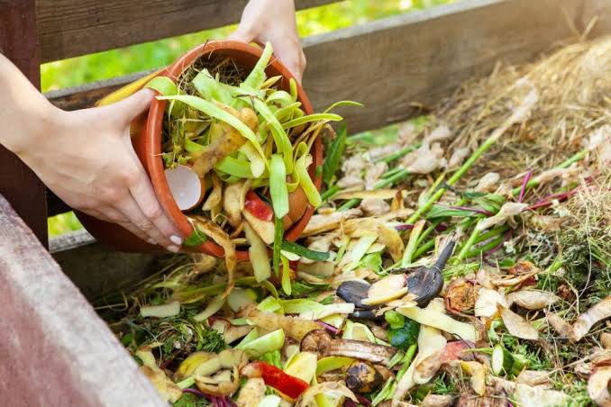 sampah organik bisa dibuat apa