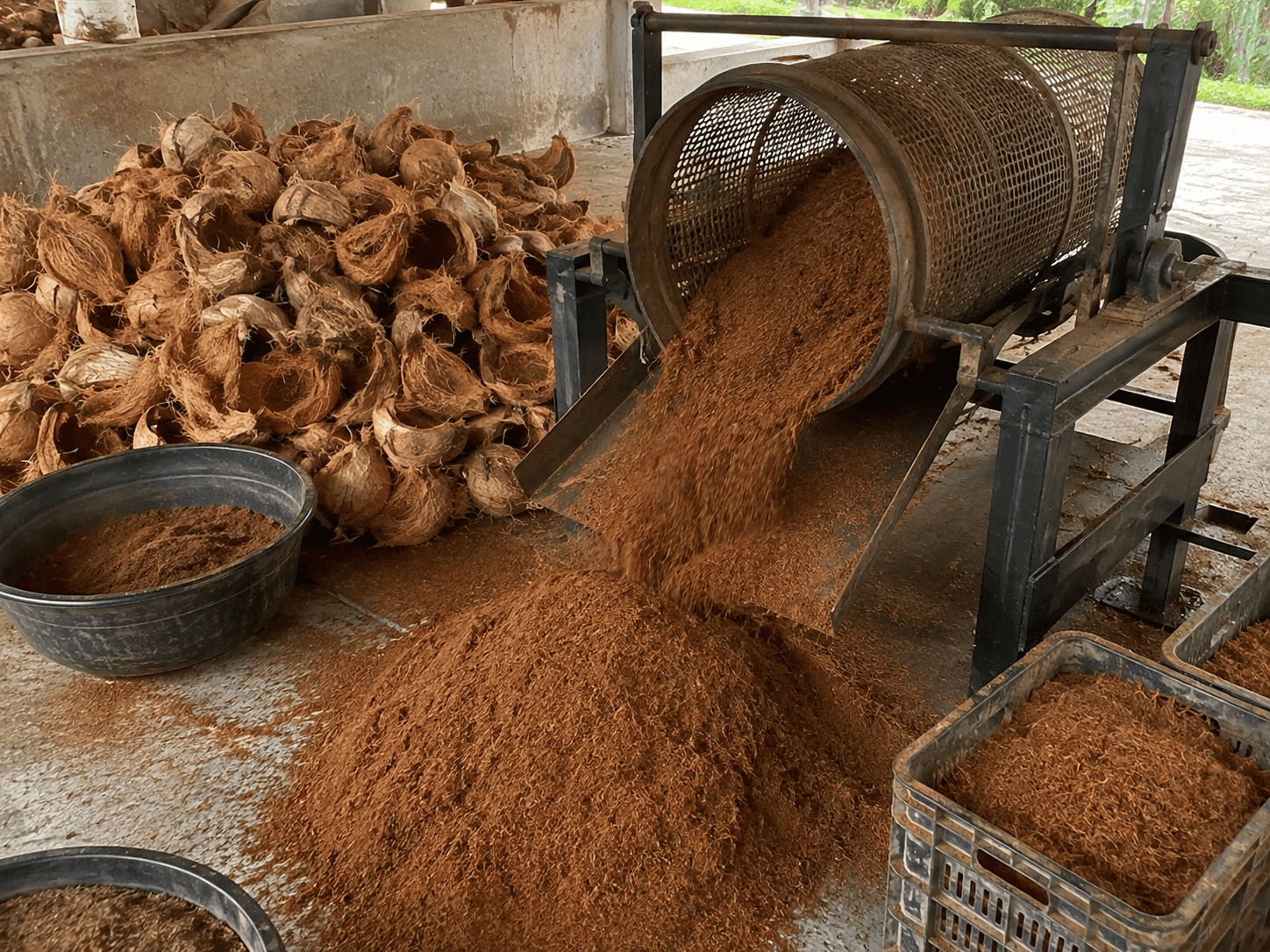 cara meningkatkan kualitas cocopeat
