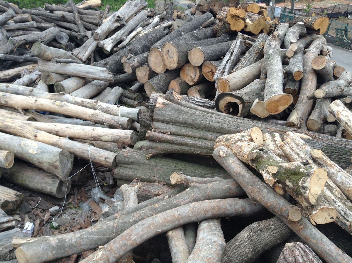 kayu