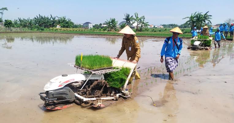 Alur Kerja Layanan Tanam Padi
